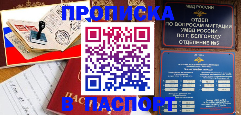 купить прописку в Коле