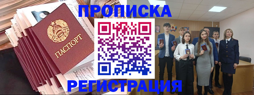 где прописаться в Коле